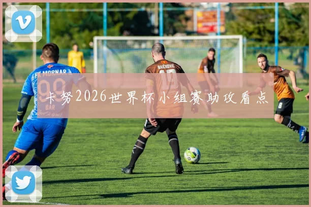卡努2026世界杯小组赛助攻看点