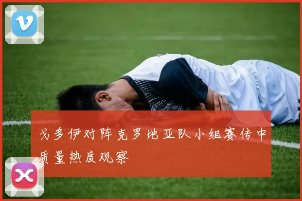 戈多伊对阵克罗地亚队小组赛传中质量热度观察