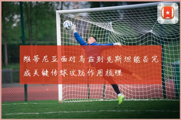 维蒂尼亚面对乌兹别克斯坦能否完成关键传球攻防作用梳理