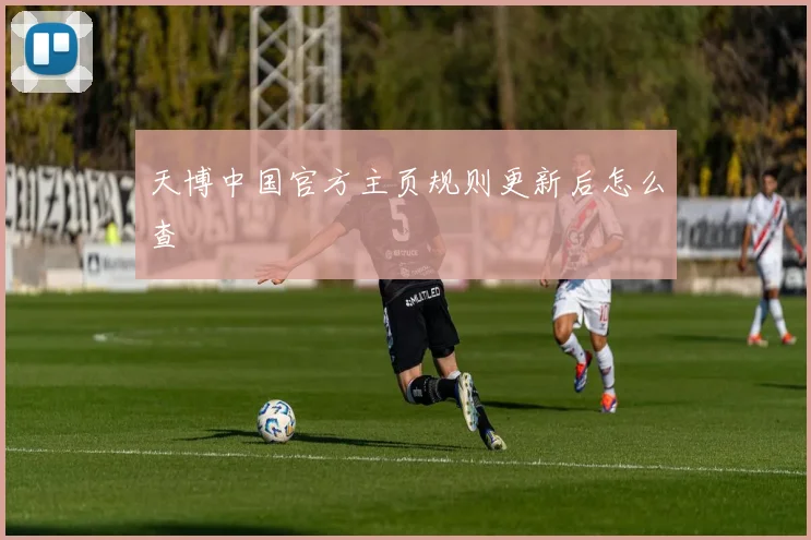 天博中国官方主页规则更新后怎么查