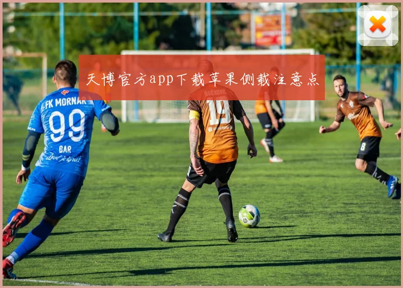 天博官方app下载苹果侧载注意点
