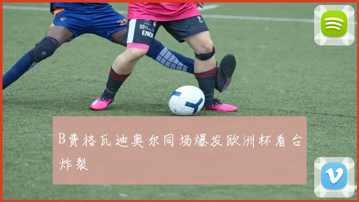 B费格瓦迪奥尔同场爆发欧洲杯看台炸裂