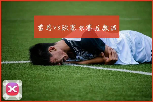 雷恩vs欧塞尔赛后数据